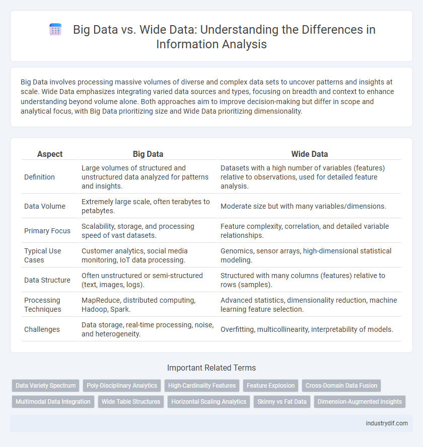 Big Data vs. Wide Data: Understanding the Differences in Information Analysis