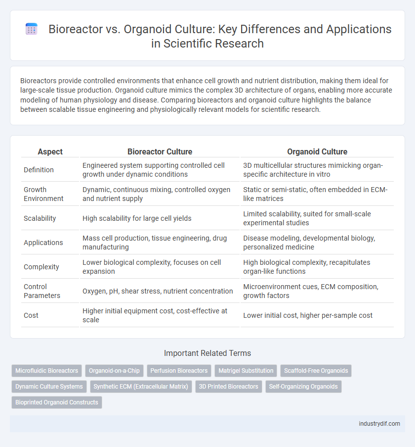 Bioreactor vs. Organoid Culture: Key Differences and Applications in Scientific Research
