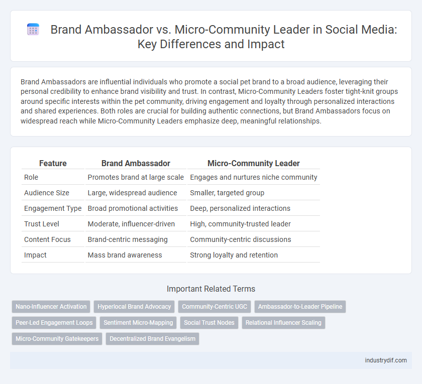 Brand Ambassador vs. Micro-Community Leader in Social Media: Key Differences and Impact