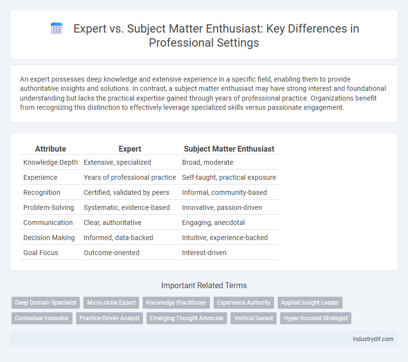 Expert vs. Subject Matter Enthusiast: Key Differences in Professional Settings