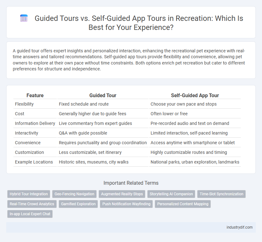 Guided Tours vs. Self-Guided App Tours in Recreation: Which Is Best for Your Experience?