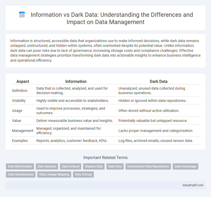 Information vs Dark Data: Understanding the Differences and Impact on Data Management
