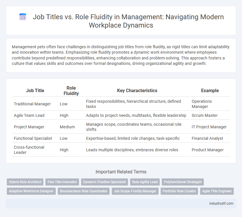 Job Titles vs. Role Fluidity in Management: Navigating Modern Workplace Dynamics