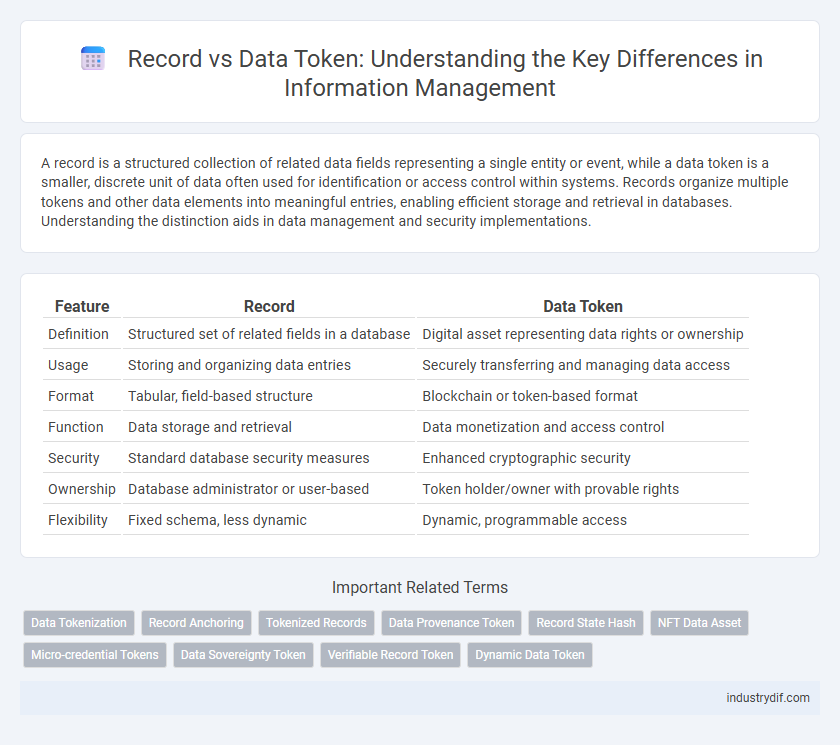 Record vs Data Token: Understanding the Key Differences in Information Management