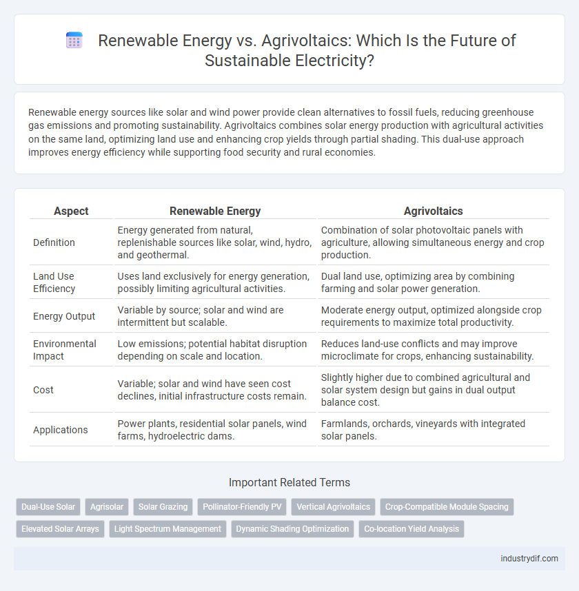 Renewable Energy vs. Agrivoltaics: Which Is the Future of Sustainable Electricity?