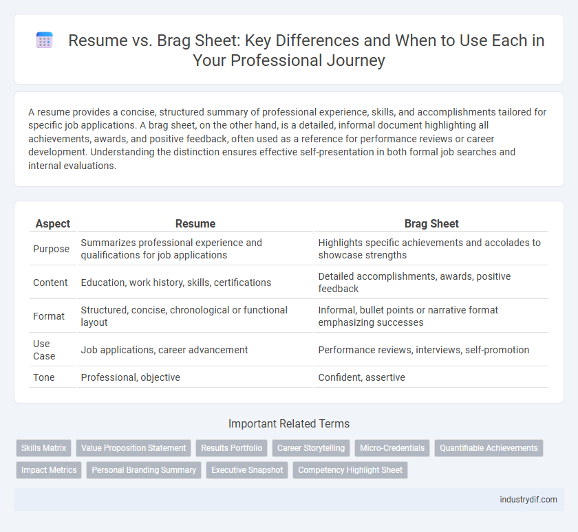 Resume vs. Brag Sheet: Key Differences and When to Use Each in Your Professional Journey
