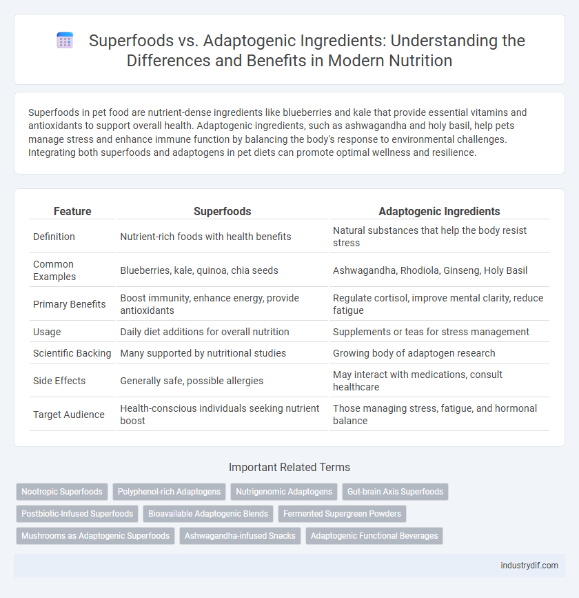 Superfoods vs. Adaptogenic Ingredients: Understanding the Differences and Benefits in Modern Nutrition