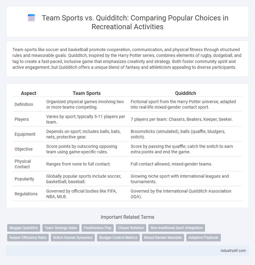 Team Sports vs. Quidditch: Comparing Popular Choices in Recreational Activities