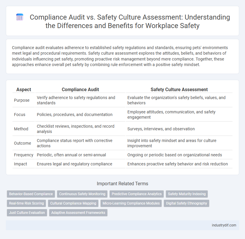 Compliance Audit vs. Safety Culture Assessment: Understanding the Differences and Benefits for Workplace Safety