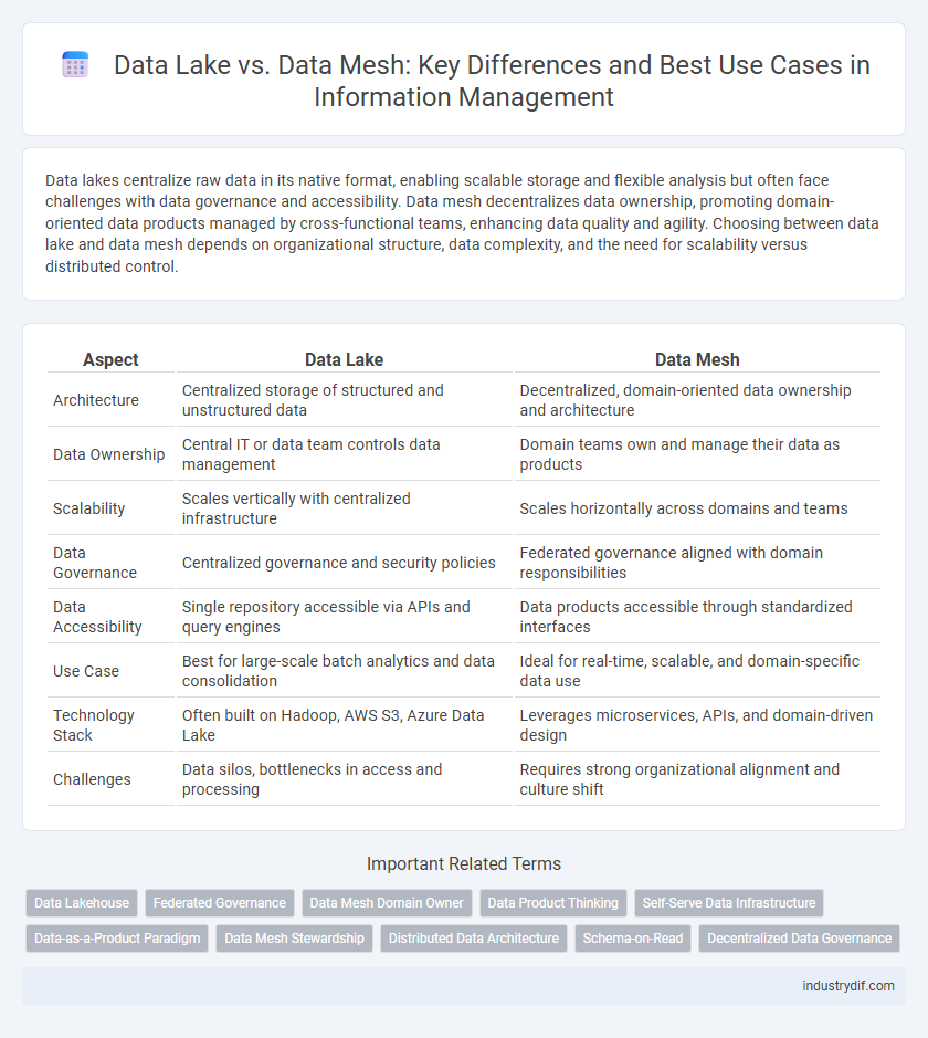 Data Lake vs. Data Mesh: Key Differences and Best Use Cases in Information Management