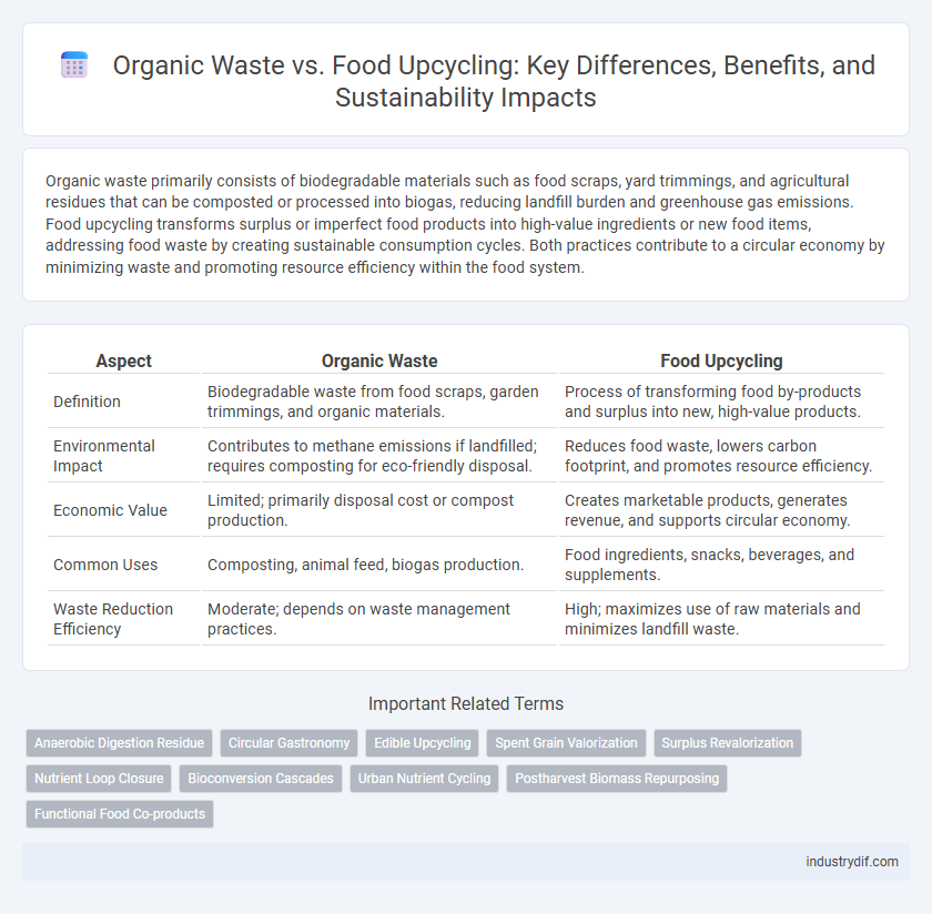 Organic Waste vs. Food Upcycling: Key Differences, Benefits, and Sustainability Impacts