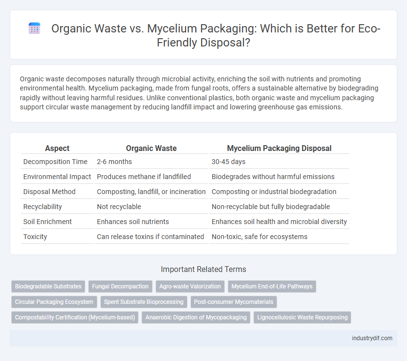 Organic Waste vs. Mycelium Packaging: Which is Better for Eco-Friendly Disposal?