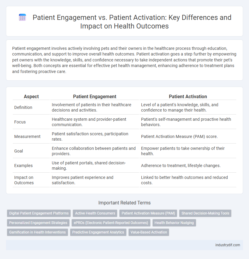 Patient Engagement vs. Patient Activation: Key Differences and Impact on Health Outcomes