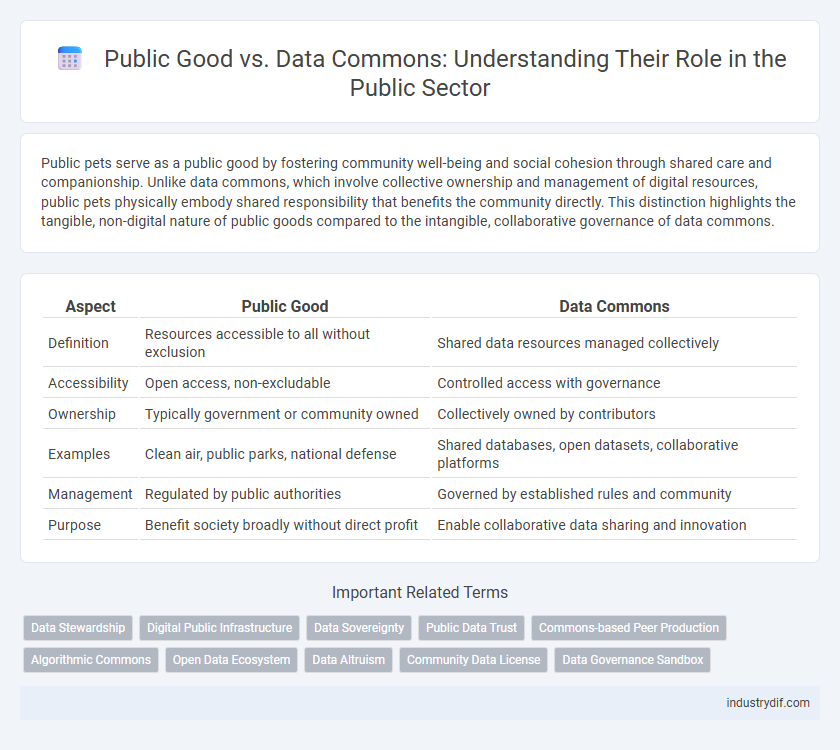 Public Good vs. Data Commons: Understanding Their Role in the Public Sector