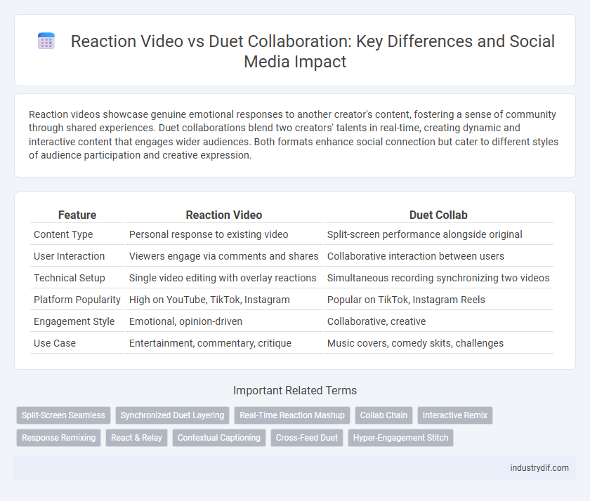 Reaction Video vs Duet Collaboration: Key Differences and Social Media Impact