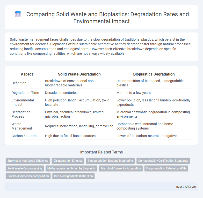 Comparing Solid Waste and Bioplastics: Degradation Rates and Environmental Impact