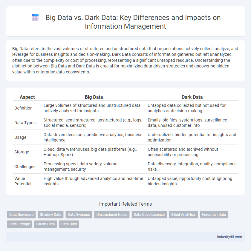 Big Data vs. Dark Data: Key Differences and Impacts on Information Management