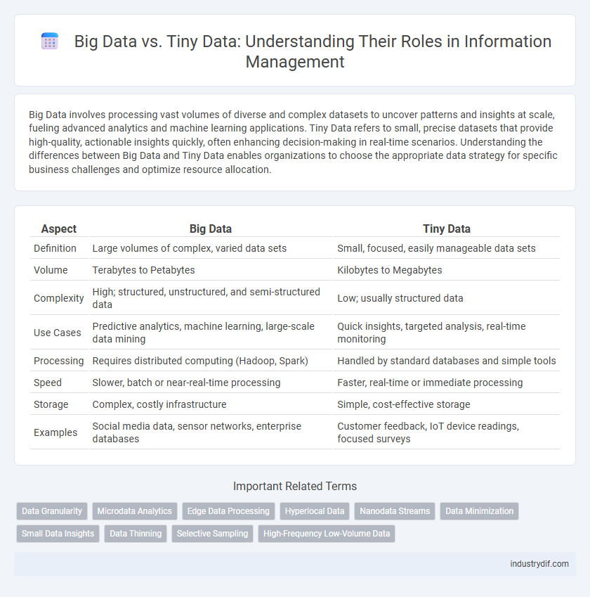 Big Data vs. Tiny Data: Understanding Their Roles in Information Management