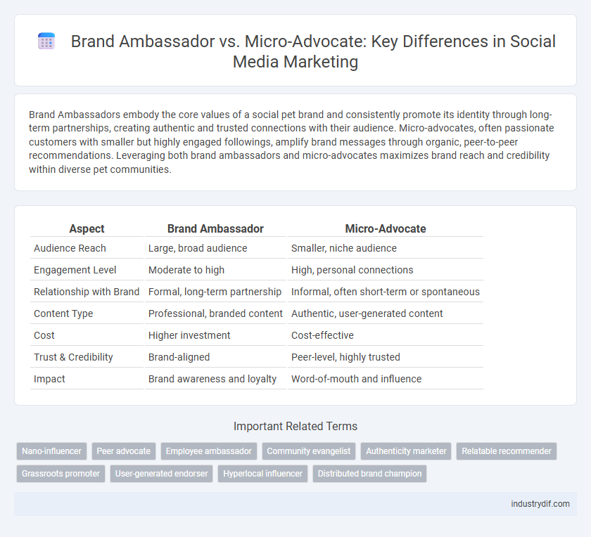 Brand Ambassador vs. Micro-Advocate: Key Differences in Social Media Marketing