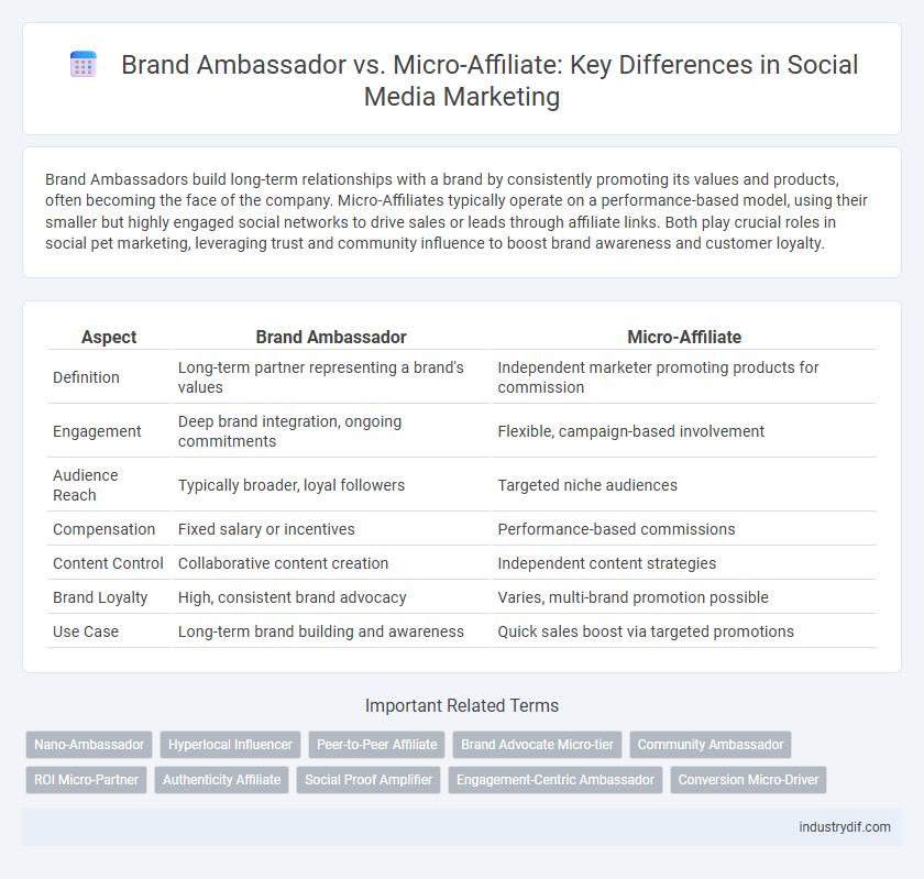Brand Ambassador vs. Micro-Affiliate: Key Differences in Social Media Marketing