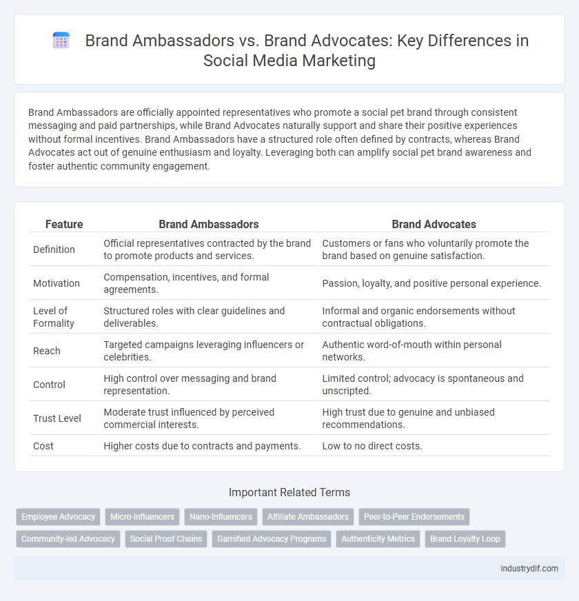 Brand Ambassadors vs. Brand Advocates: Key Differences in Social Media Marketing