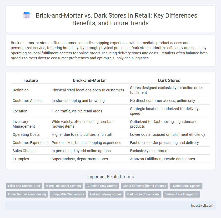Brick-and-Mortar vs. Dark Stores in Retail: Key Differences, Benefits, and Future Trends