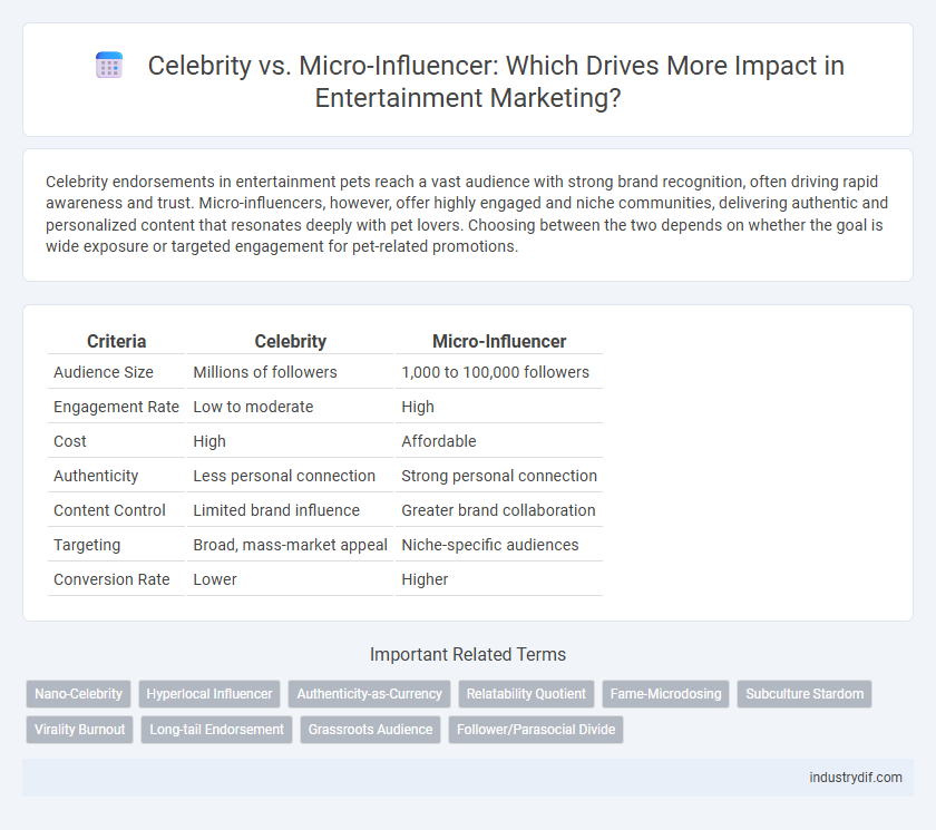 Celebrity vs. Micro-Influencer: Which Drives More Impact in Entertainment Marketing?