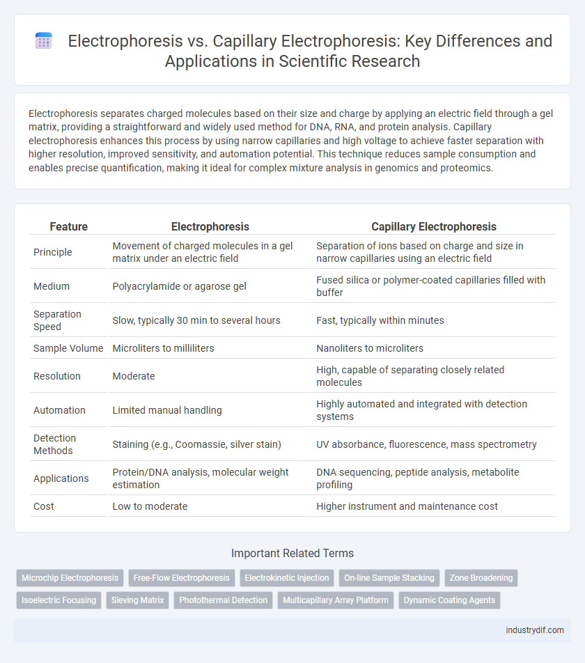 Electrophoresis vs. Capillary Electrophoresis: Key Differences and Applications in Scientific Research