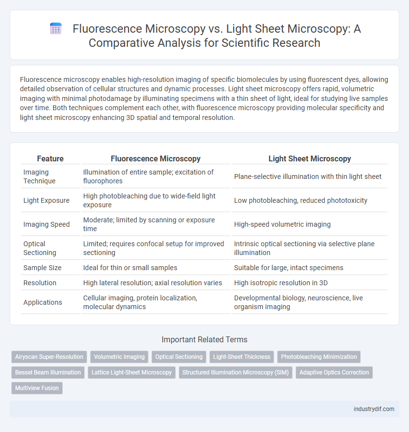 Fluorescence Microscopy vs. Light Sheet Microscopy: A Comparative Analysis for Scientific Research
