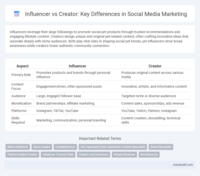 Influencer vs Creator: Key Differences in Social Media Marketing