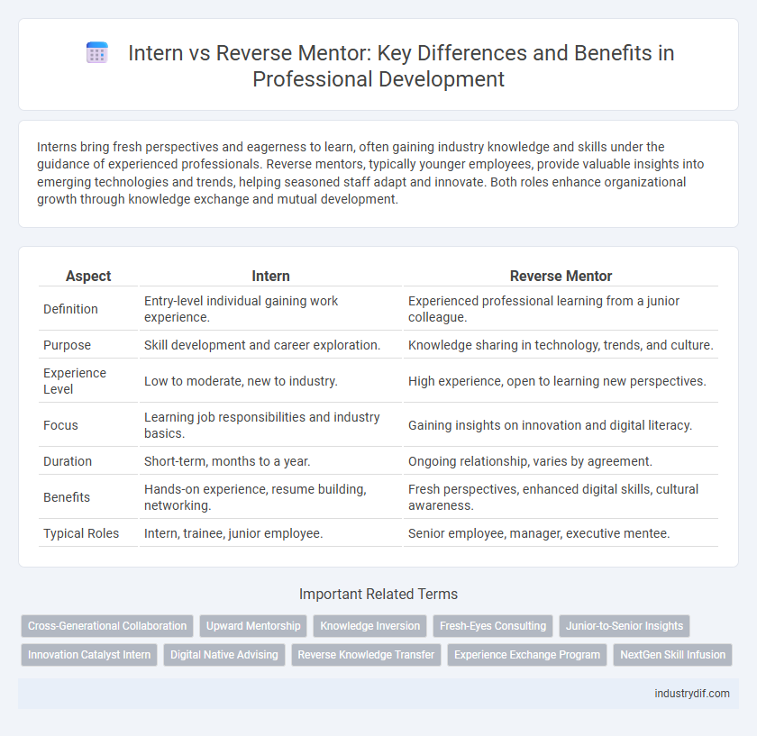 Intern vs Reverse Mentor: Key Differences and Benefits in Professional Development