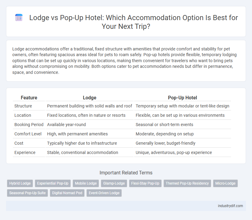 Lodge vs Pop-Up Hotel: Which Accommodation Option Is Best for Your Next Trip?
