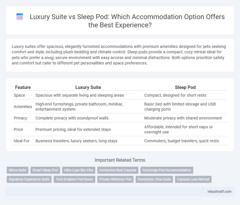 Luxury Suite vs Sleep Pod: Which Accommodation Option Offers the Best Experience?