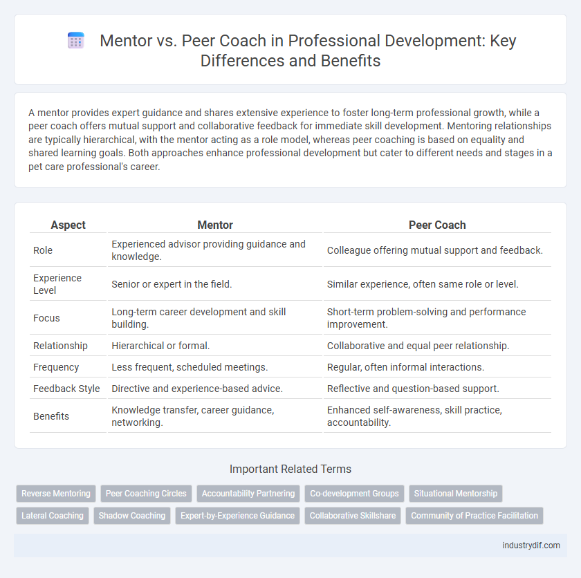 Mentor vs. Peer Coach in Professional Development: Key Differences and Benefits