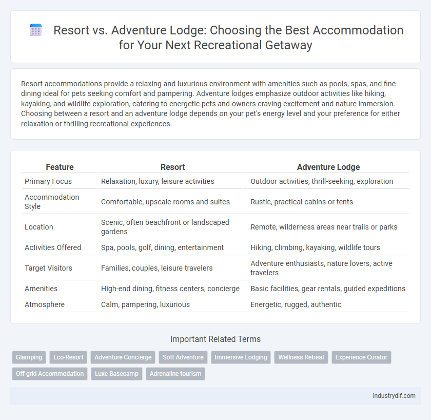 Resort vs. Adventure Lodge: Choosing the Best Accommodation for Your Next Recreational Getaway