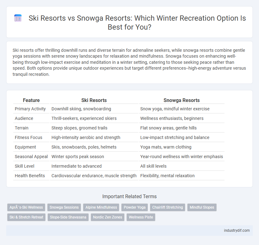 Ski Resorts vs Snowga Resorts: Which Winter Recreation Option Is Best for You?