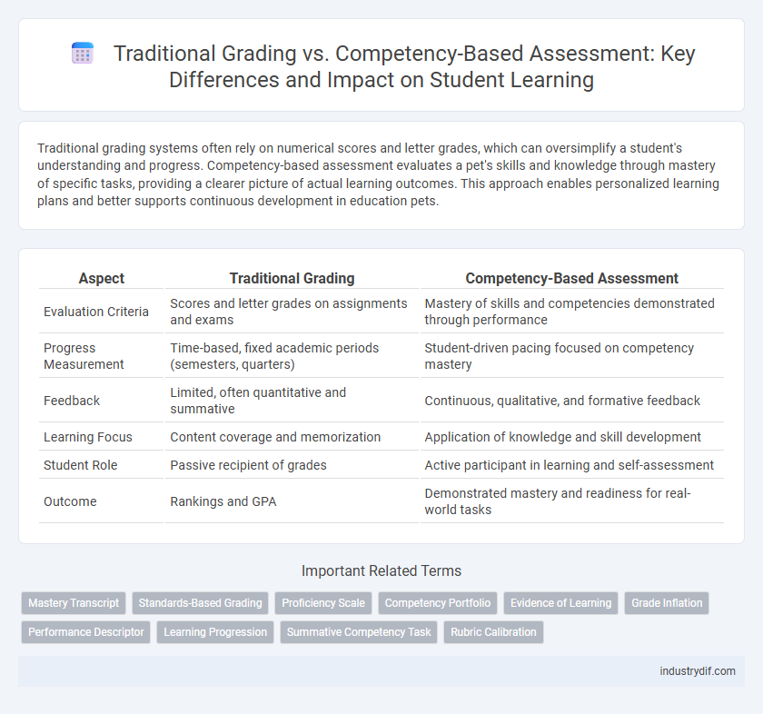 Traditional Grading vs. Competency-Based Assessment: Key Differences and Impact on Student Learning