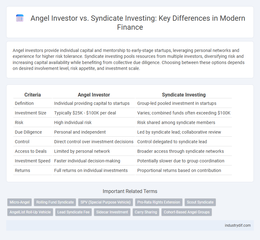 Angel Investor vs. Syndicate Investing: Key Differences in Modern Finance