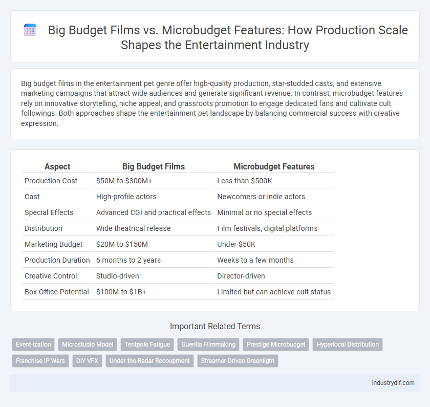 Big Budget Films vs. Microbudget Features: How Production Scale Shapes the Entertainment Industry