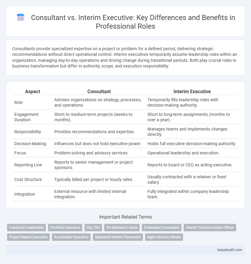 Consultant vs. Interim Executive: Key Differences and Benefits in Professional Roles