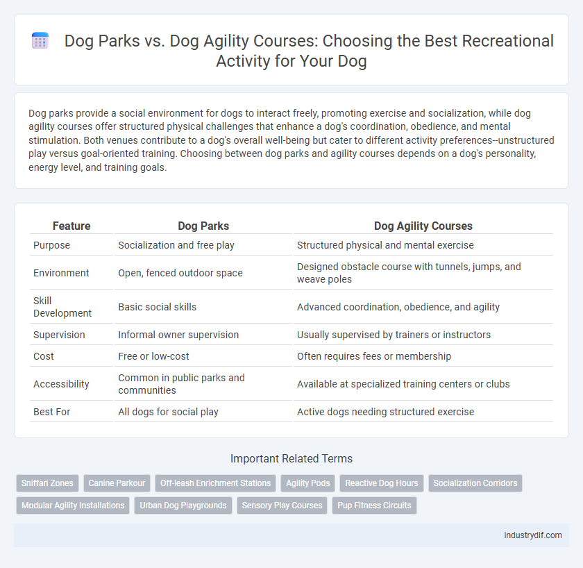 Dog Parks vs. Dog Agility Courses: Choosing the Best Recreational Activity for Your Dog