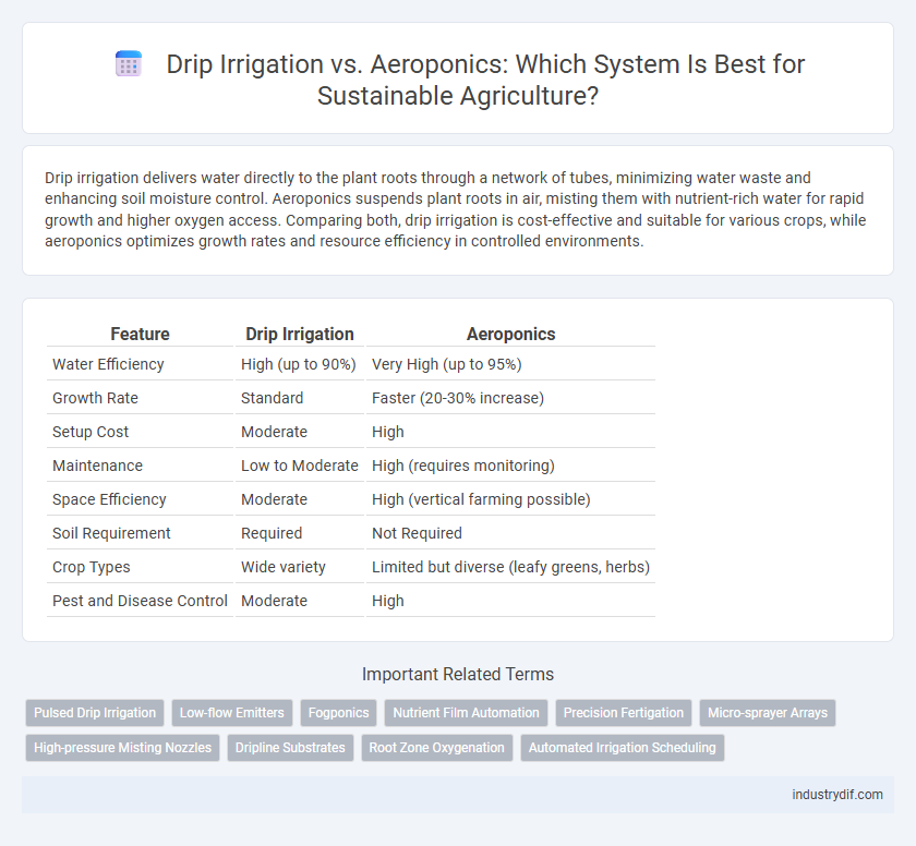 Drip Irrigation vs. Aeroponics: Which System Is Best for Sustainable Agriculture?