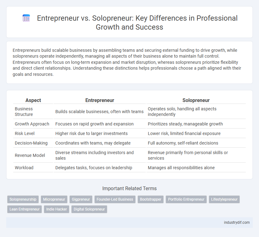 Entrepreneur vs. Solopreneur: Key Differences in Professional Growth and Success