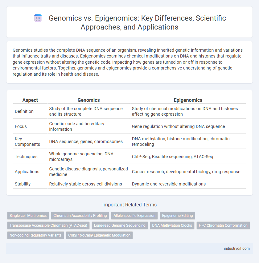 Genomics vs. Epigenomics: Key Differences, Scientific Approaches, and Applications