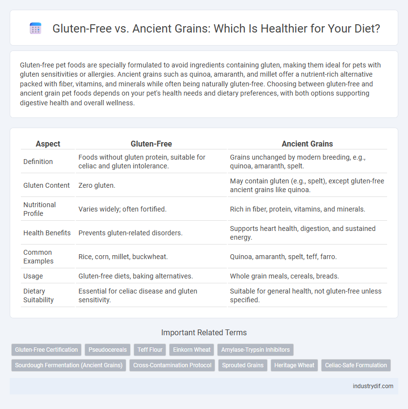 Gluten-Free vs. Ancient Grains: Which Is Healthier for Your Diet?