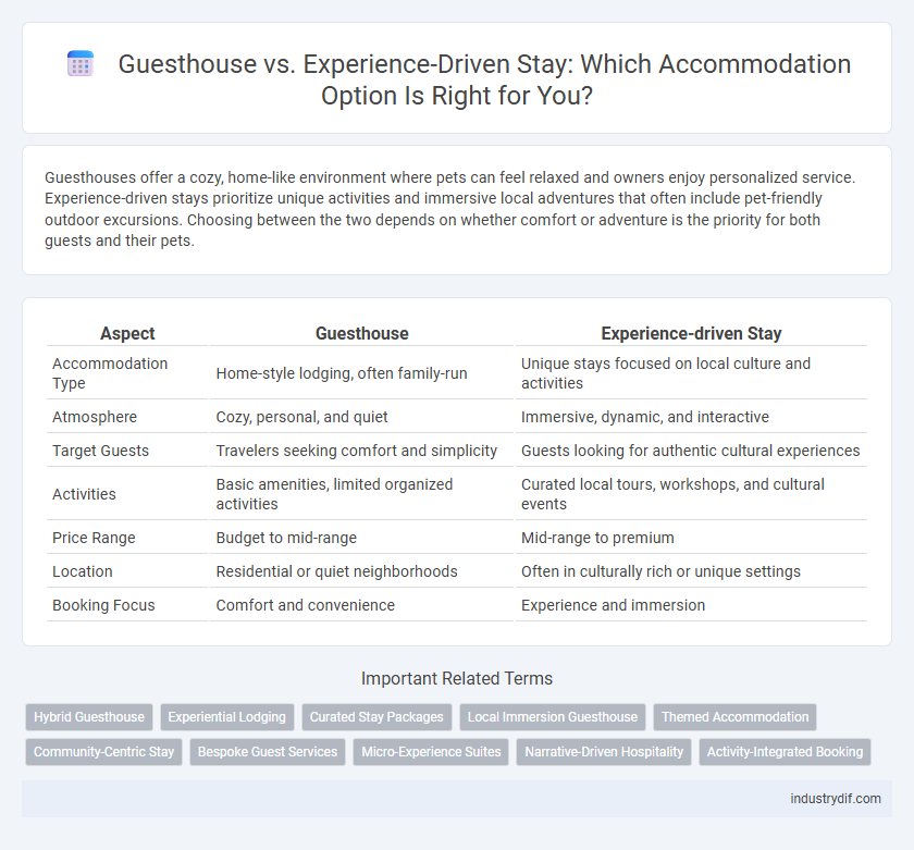 Guesthouse vs. Experience-Driven Stay: Which Accommodation Option Is Right for You?