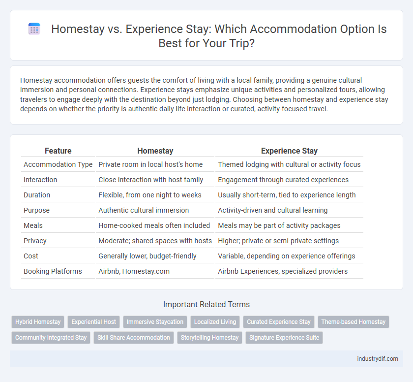Homestay vs. Experience Stay: Which Accommodation Option Is Best for Your Trip?