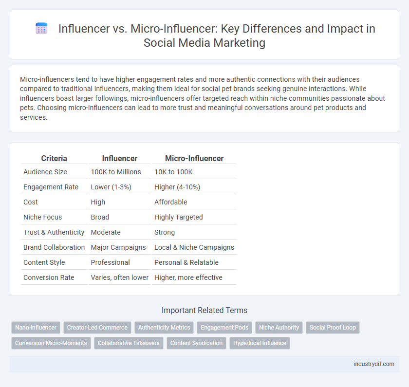 Influencer vs. Micro-Influencer: Key Differences and Impact in Social Media Marketing