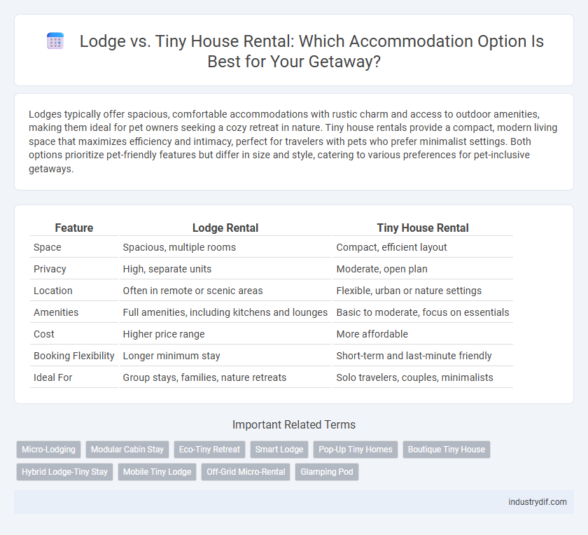 Lodge vs. Tiny House Rental: Which Accommodation Option Is Best for Your Getaway?