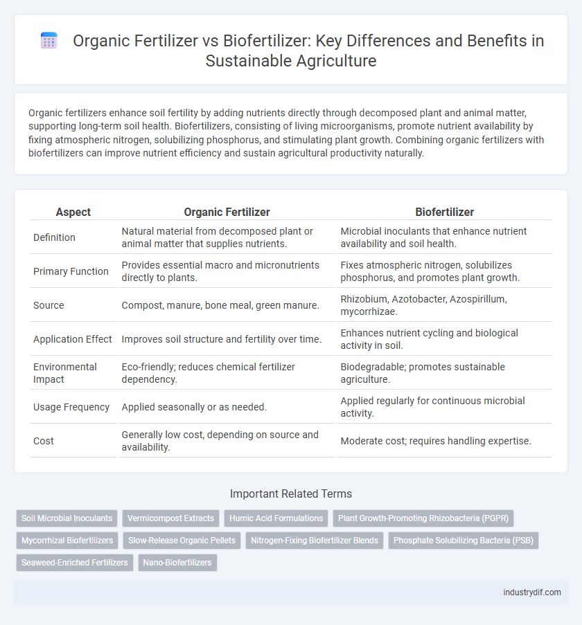 Organic Fertilizer vs Biofertilizer: Key Differences and Benefits in Sustainable Agriculture